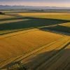 Новое исследование: Земледелие в древней Северной Америке было куда более масштабным, чем считалось ранее