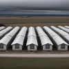 В США предложили использовать военные базы для содержания тысяч иммигрантов