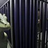 «Аллигаторова Алькатрас»: заключённых в США лишили связи с адвокатами и права на суд