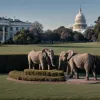 Трамп не отпускает: Республиканцы инициировали расследования против Байдена, рискуя собственной повесткой