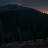 Месть за отказ: в Айдахо мужчина устроил засаду и убил пожарных, не принявших его на службу