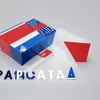 Илон Маск создает новую политическую партию «Америка» после раскола с Трампом