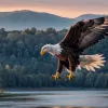 Спустя 250 лет: Белоголовый орлан официально стал символом США, укрепив традиции коренных американцев