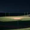 Сенсация на драфте МЛБ: Washington Nationals выбрали 17-летнего сына экс-игрока под первым номером