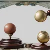 Крупный скандал в мире крикета: аудит выявил многомиллионные нарушения в Пакистанском совете