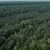 В Индонезии на острове Борнео пропал вертолет с восемью людьми на борту