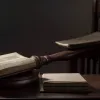 Справа Абрего Гарсії: Суди США розглядають позови про «помсту» уряду за помилкову депортацію