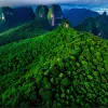 Бразилія запускає Фонд "Вічні Тропічні Ліси" для боротьби з вирубкою: залучено $5,5 млрд
