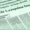 Сем Х'юстон домінує над Айдахо: Меннінг та Коулман – герої з лави запасних у перемозі 94-68