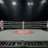 Мераб Двалішвілі та Петр Ян: битва за пояс UFC 323 і прагнення до рекорду