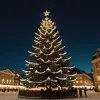 Лондонська різдвяна ялинка: Норвезька традиція подяки та дружби