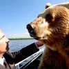 Символізм російського ведмедя та поняття "ведмежа послуга"