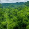 Теракт в Кашмірі: Моторошне відео з зіплайну