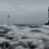 Чарльз Кох критикує Трампа за відхід від принципів