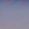 Black Hawk зірвав посадку двох літаків у Вашингтоні